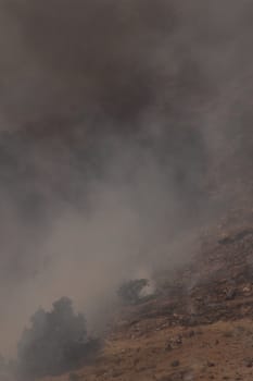 Desert fire with burning bushes and brush