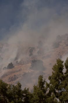 Desert fire with burning bushes and brush