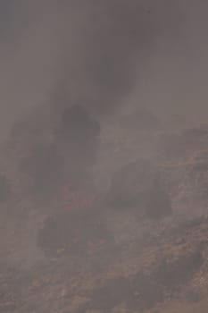 Desert fire with burning bushes and brush