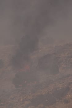 Desert fire with burning bushes and brush