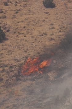 Desert fire with burning bushes and brush