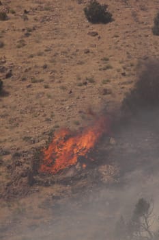 Desert fire with burning bushes and brush