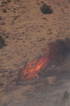 Desert fire with burning bushes and brush