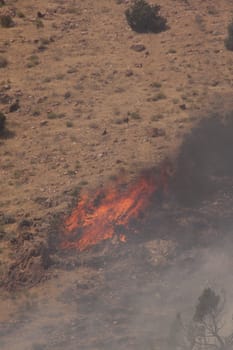 Desert fire with burning bushes and brush