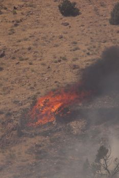 Desert fire with burning bushes and brush