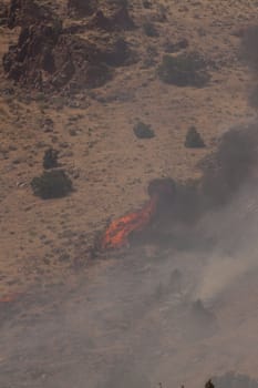 Desert fire with burning bushes and brush