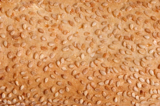 Fresh bread with sesame texture and background
