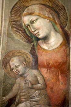 Florence -  Santa Croce: Frescoes in the Baroncelli Chapel. Life of the Virgin