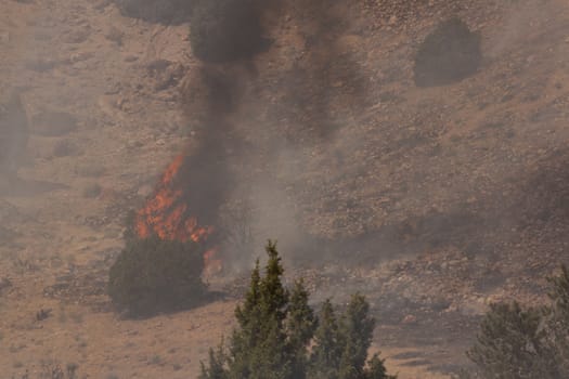 Desert fire with burning bushes and brush