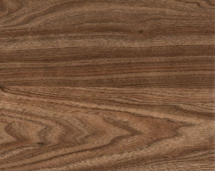 the brown wood texture with natural patterns