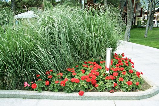 Formal garden with blooming flowers in the summer