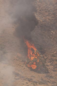 Desert fire with burning bushes and brush