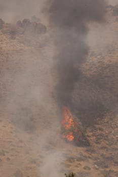 Desert fire with burning bushes and brush