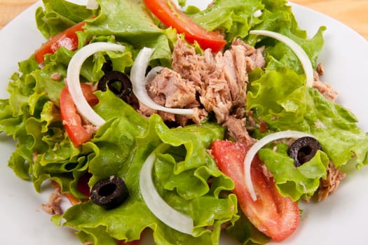 Onion salad of meat with roast vegetables close up