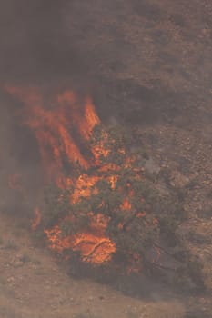 Desert fire with burning bushes and brush