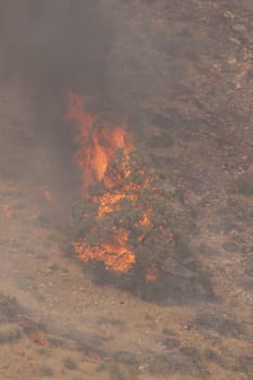 Desert fire with burning bushes and brush