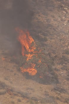 Desert fire with burning bushes and brush