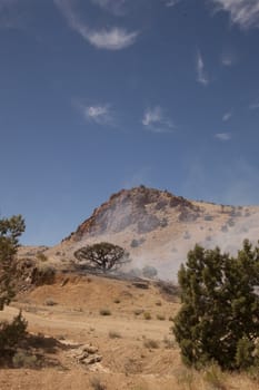 Desert fire with burning bushes and brush