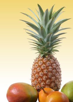 fresh tropical fruits isolated on yellow background