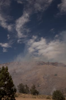 Desert fire with burning bushes and brush