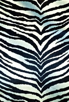 Details of zebra as a fur background