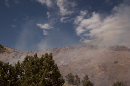 Desert fire with burning bushes and brush