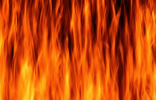 Close-up of fire and flames on a black background