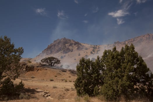 Desert fire with burning bushes and brush