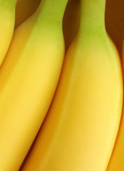 Macro view of a bunch of bananas