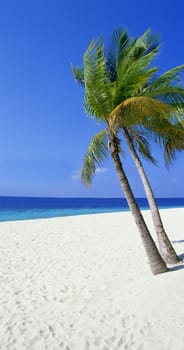 Landscape photo of tranquil island beach close up