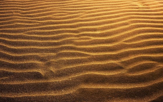 beach sand background close up on background