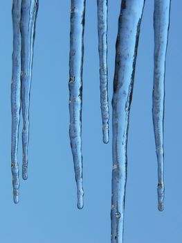 icicles on a blue background
