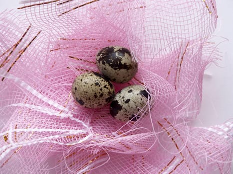 The image of eggs of a female quail on a pink background