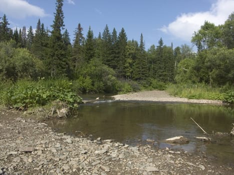 The image of the small Siberian river with stony coast among a wood
