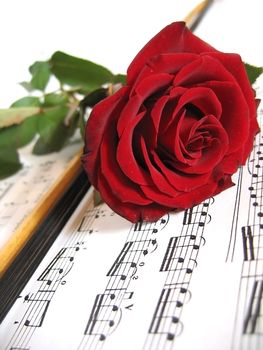 Red rose on music sheet