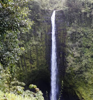 A water fall on Hawaii's Big Island