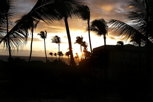 A sunset on Maui