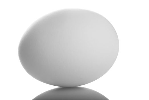 Egg close up macro image