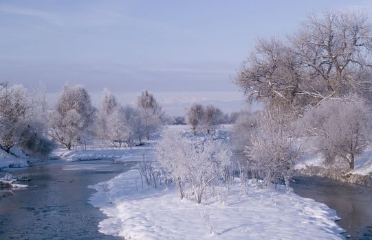 Poudre River with the Mummy range of the Rockies in the background.