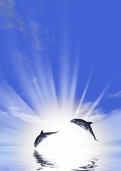 Three dolphins floating at ocean (control light)