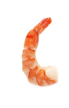 Closeup view of shrimp isolated