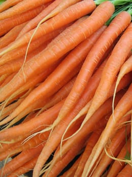 raw carrots