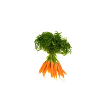 Bunch orange carrots with green leaves isolated