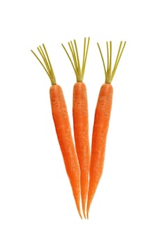 carrots on white