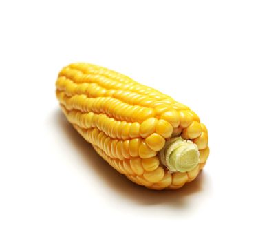 corn isolated