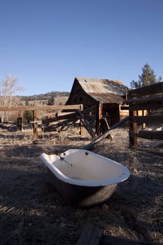 an old abandoned barn or cabin in the forest