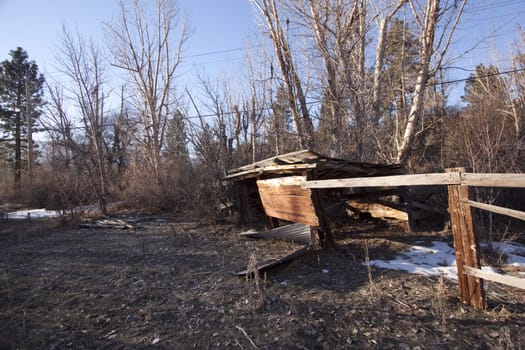 an old abandoned barn or cabin in the forest