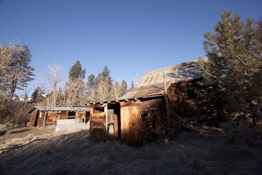 an old abandoned barn or cabin in the forest