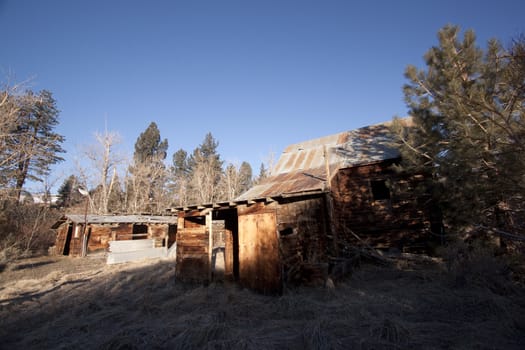 an old abandoned barn or cabin in the forest