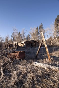 an old abandoned barn or cabin in the forest